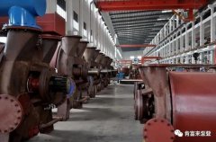 成都纬轩互动娱乐开发有限公司被评为2019年度三水区骨干企业